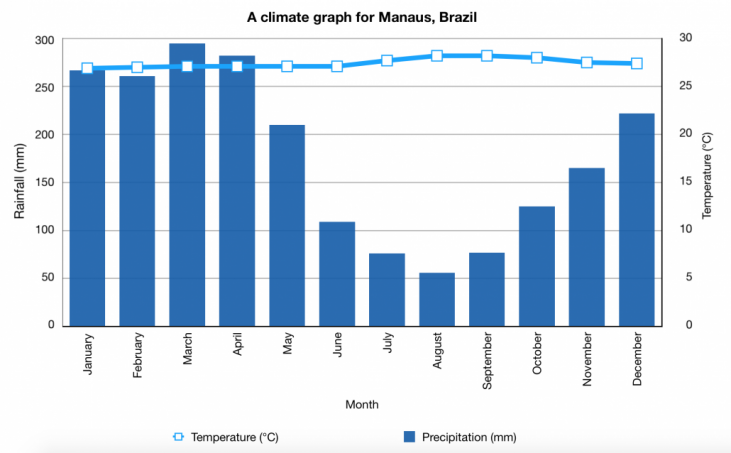 Rainforest Weather Chart