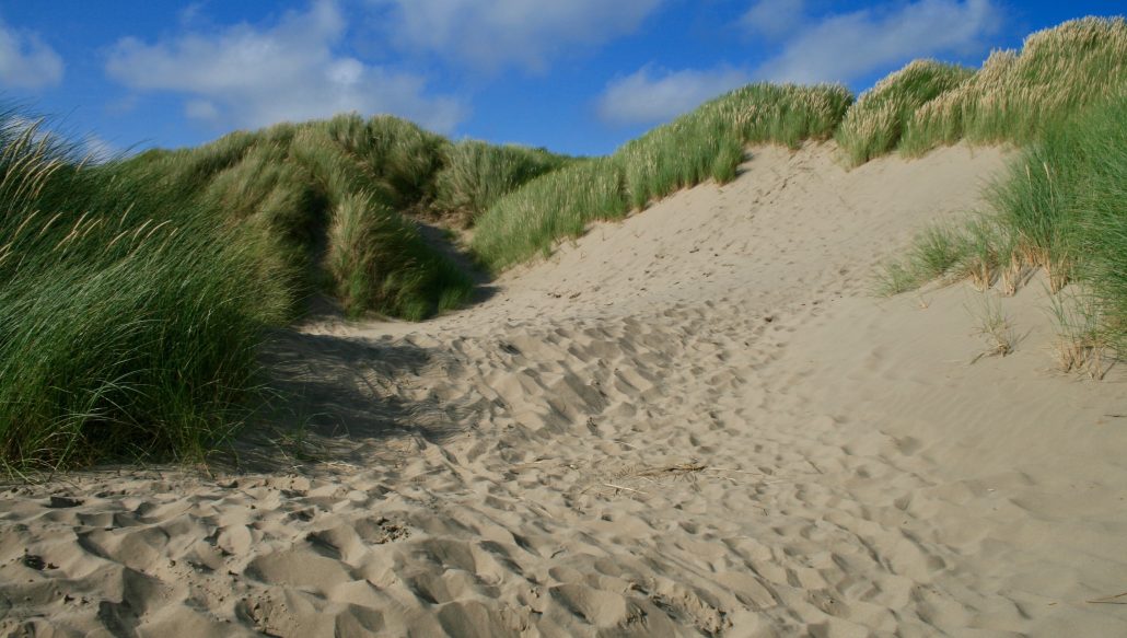 What is coastal deposition? - Internet Geography