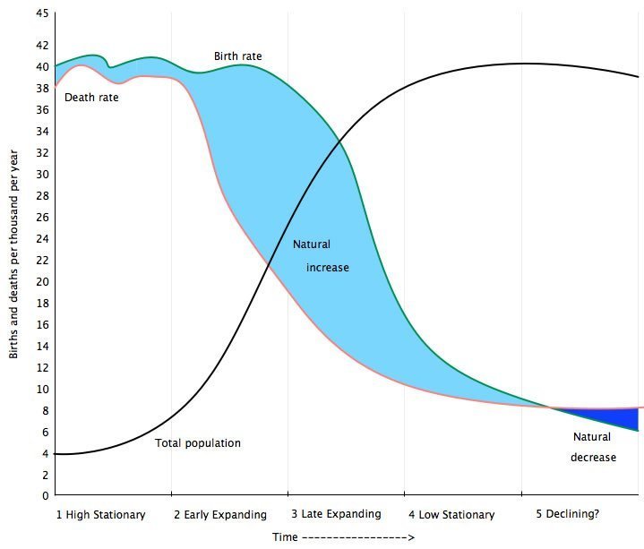 The demographic transition model