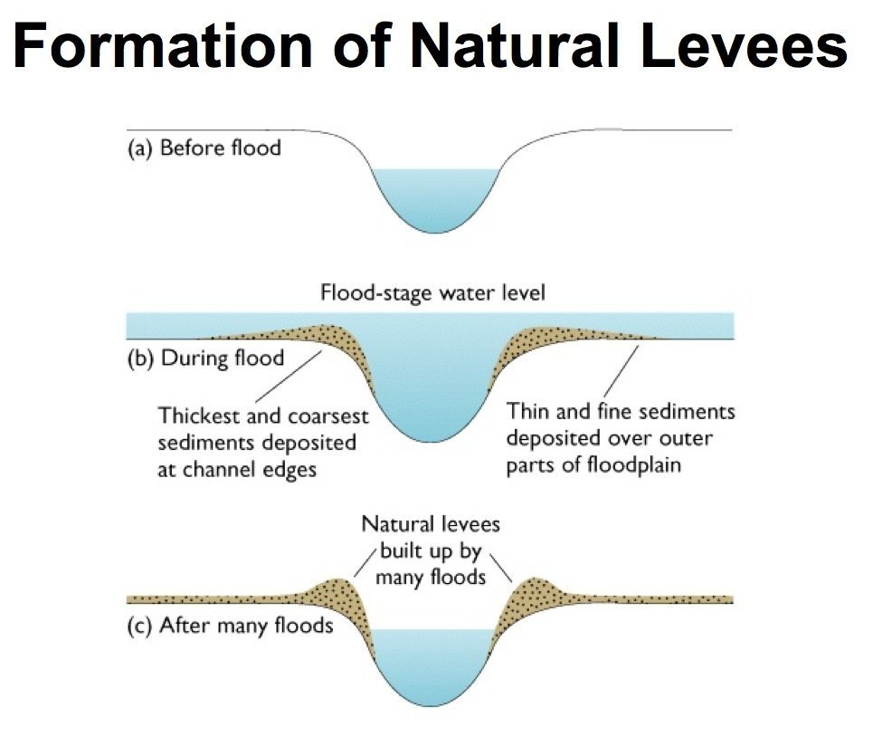 The stages in the formation of a natural levee