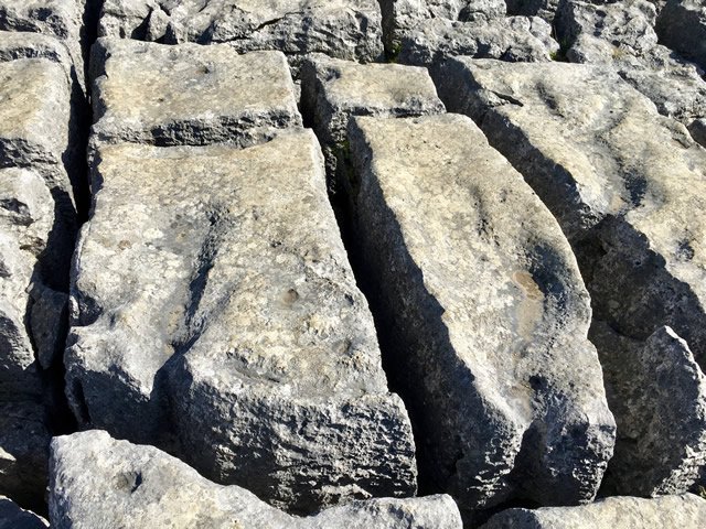 an image of a limestone pavement