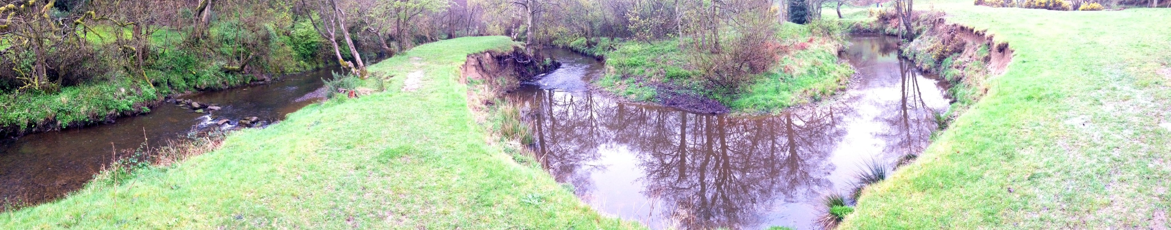 Meander on the River Derwent