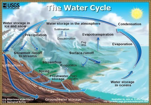 The water cycle 