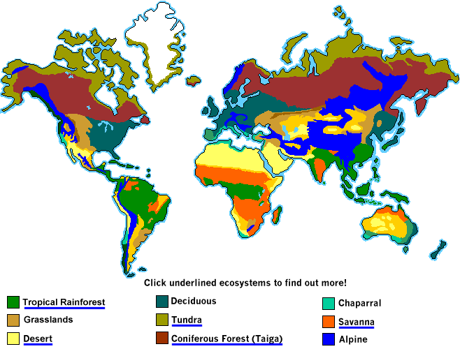 A map to show the main biomes of the world.