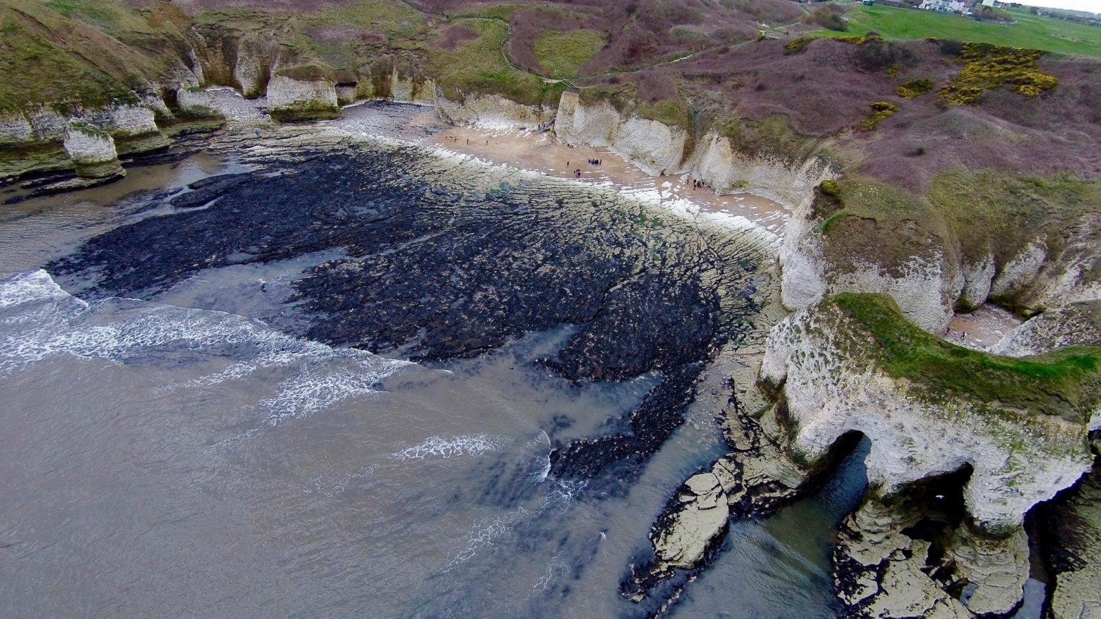 Wavecut platform at Flamborough