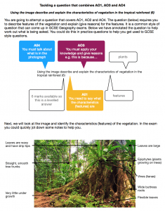 Tackling A01 AO3 AO4 Questions that include image resources