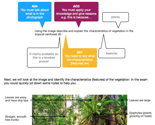 Tackling A01 AO3 AO4 Questions that include image resources