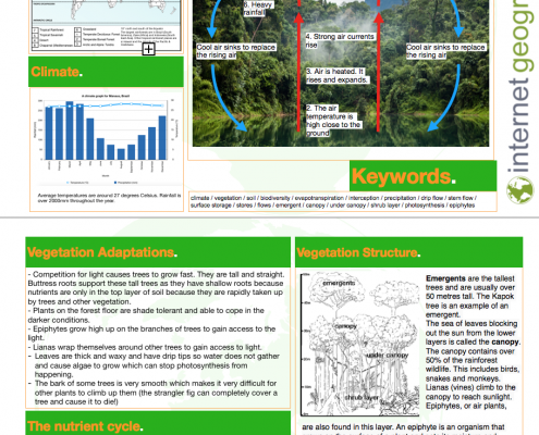 Tropical Rainforest Knowledge Organiser