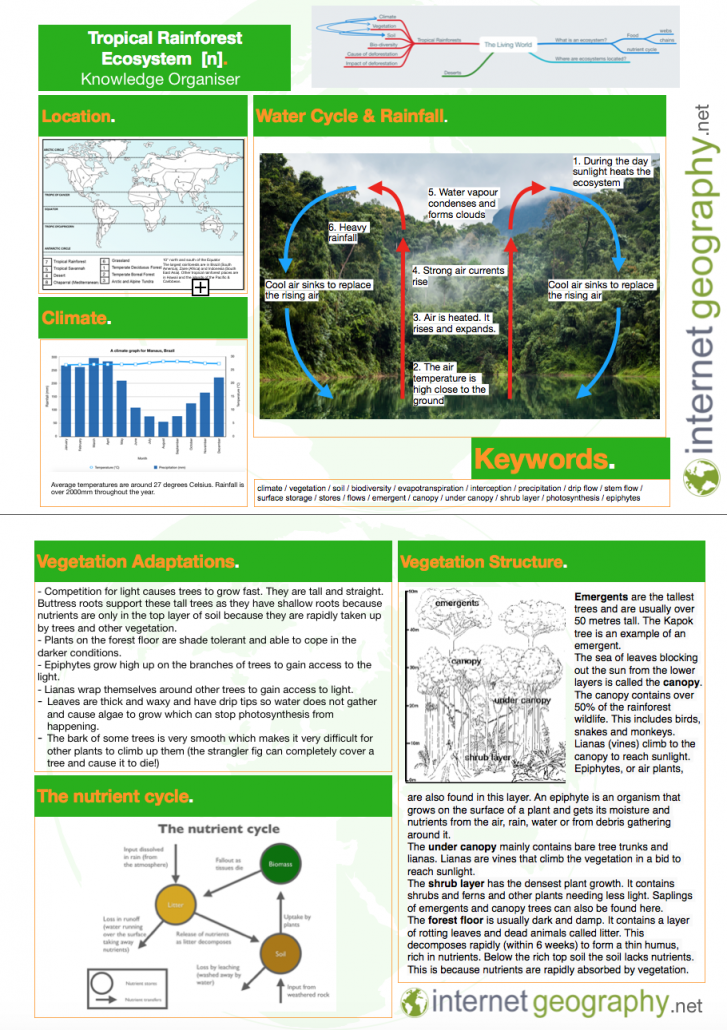 Tropical Rainforest Knowledge Organiser