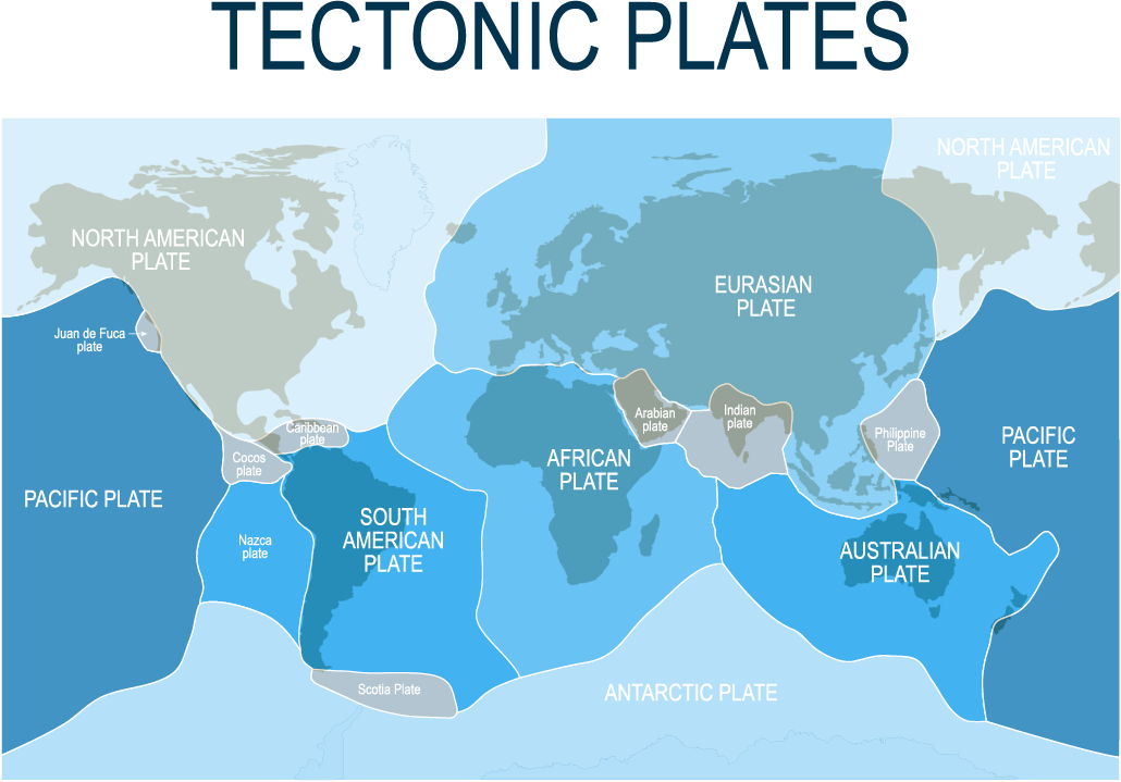 The Earth's main tectonic plates