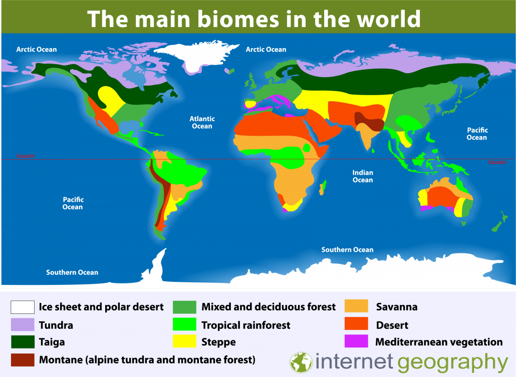 A map to show the main biomes of the world