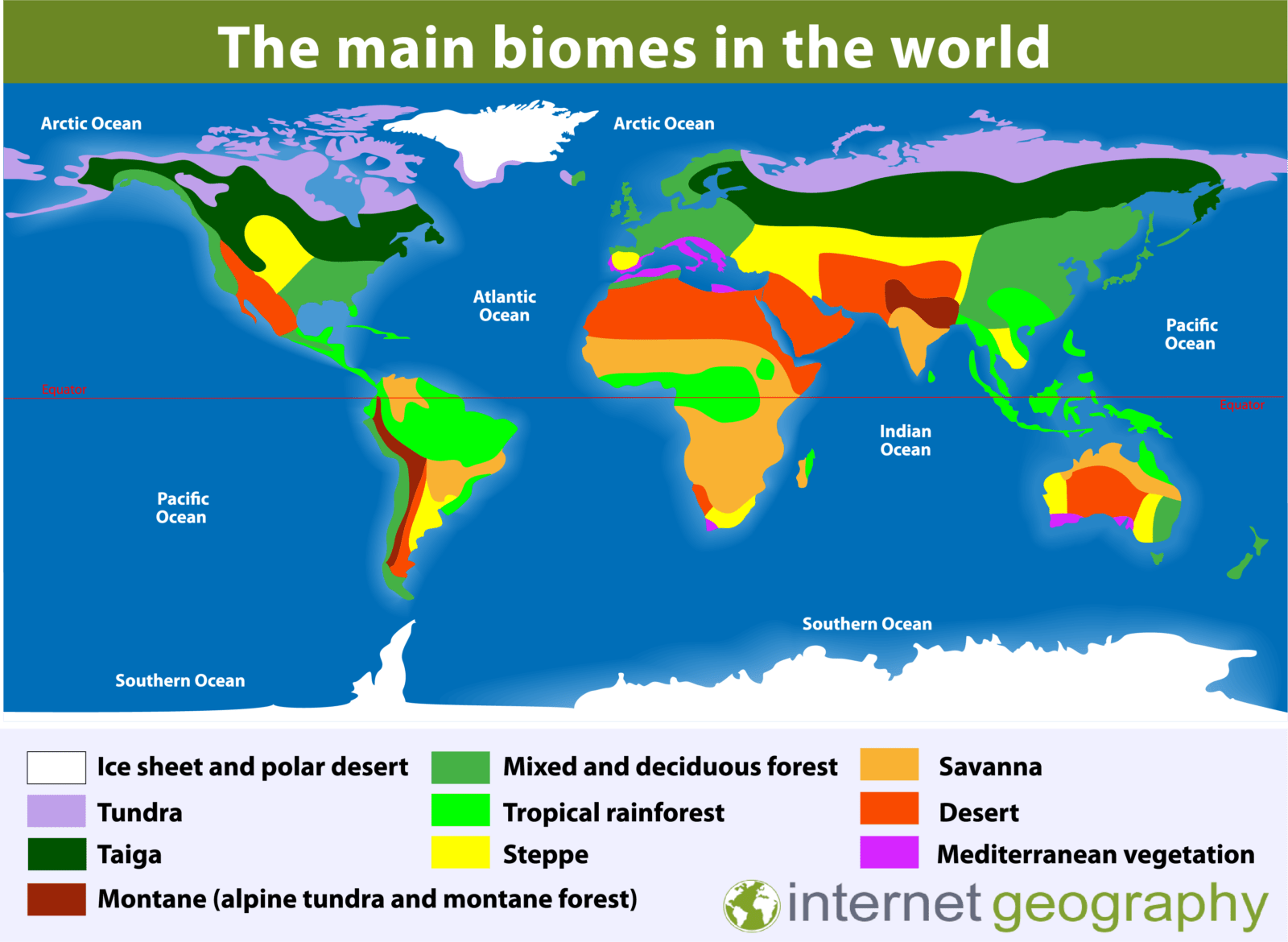 Taiga Biome: Location, Climate, Temperature, Precipitation, Plants