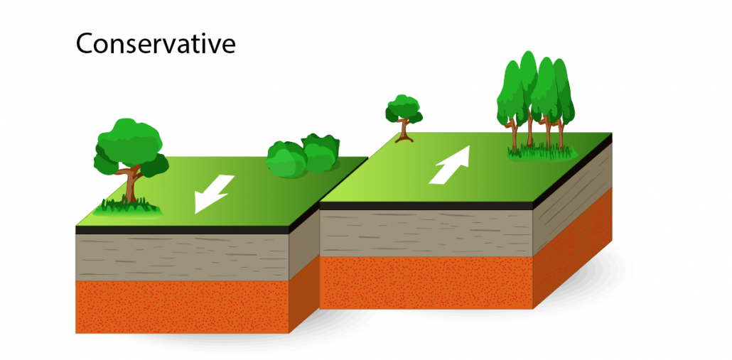 A conservative plate margin