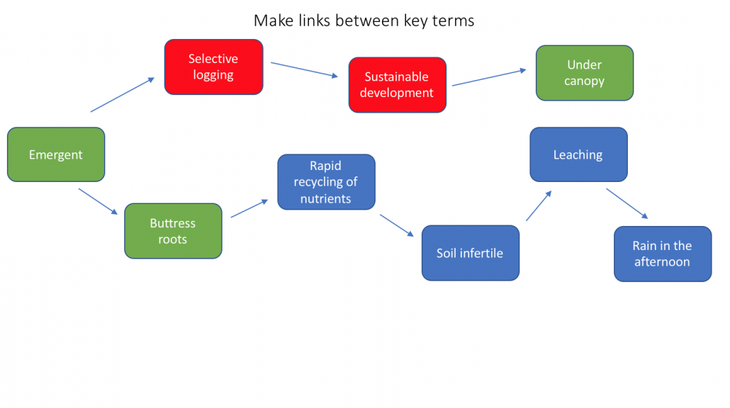 Tropical Rainforest Concept Map Links