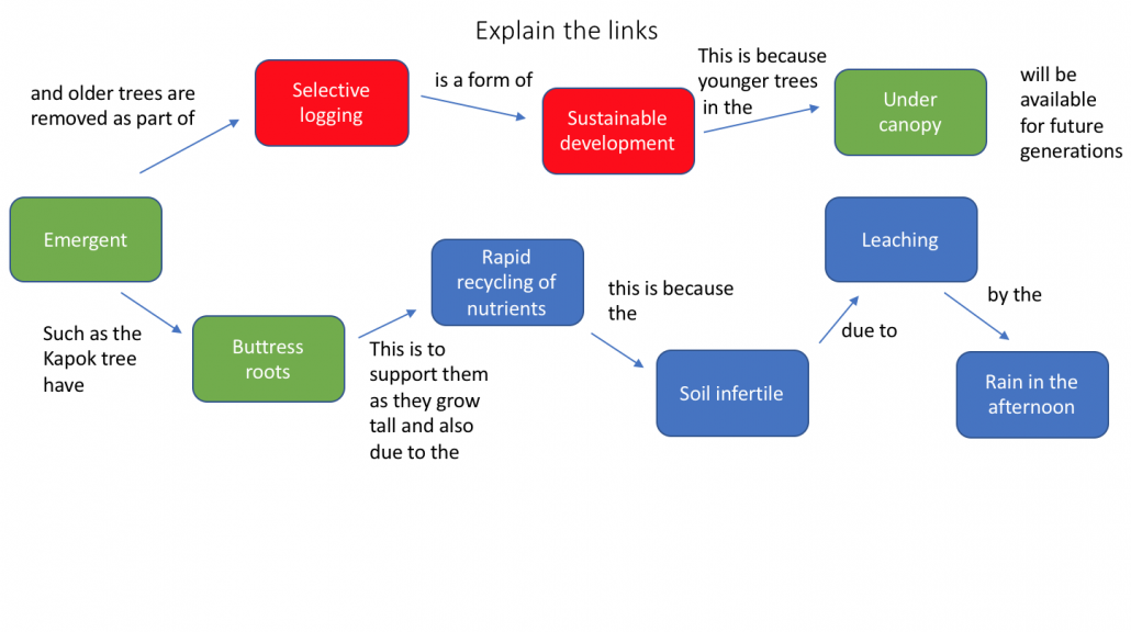 Tropical Rainforest Concept Map Links explained