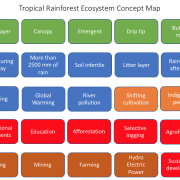 Tropical Rainforest Concept Map Key Words