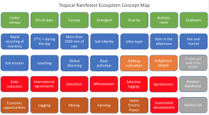 Tropical Rainforest Concept Map Key Words