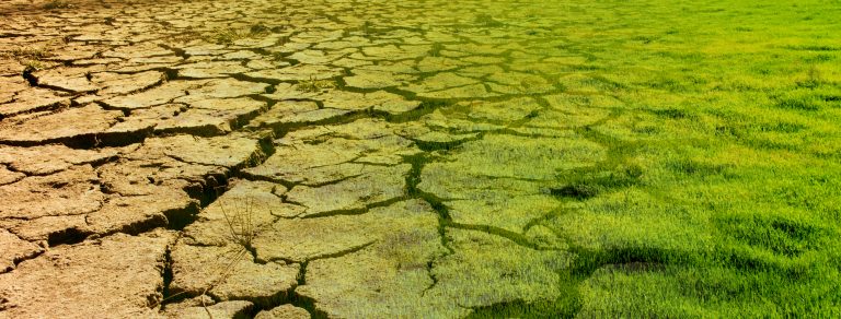 Desertification - What is the impact of humans on desert?