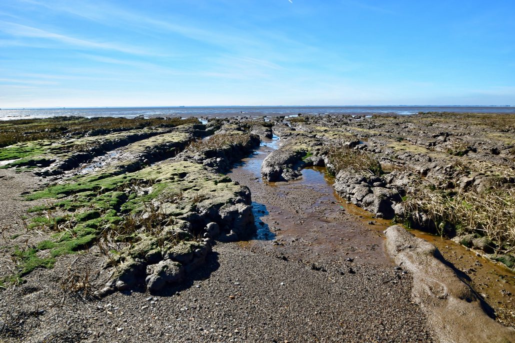 Mudflats along the Humber Estuary.