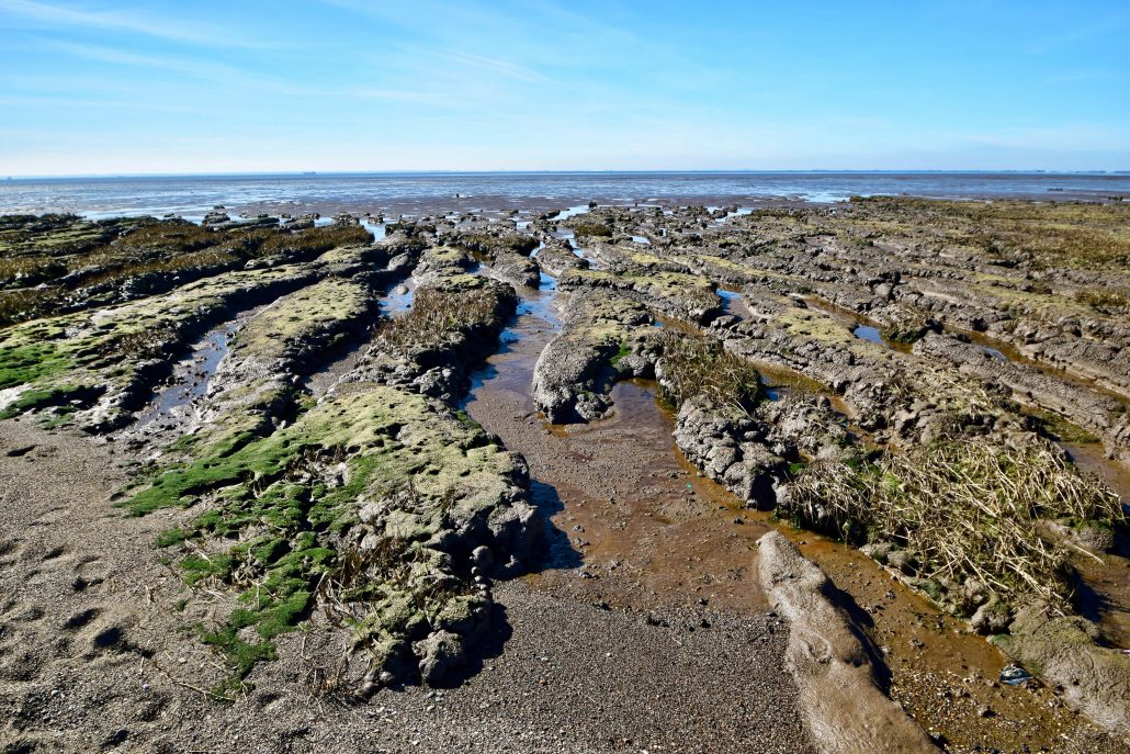 Salt marsh at Spurn Point