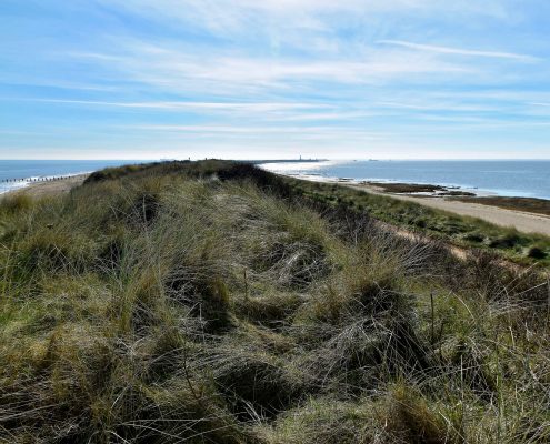 Spurn Point