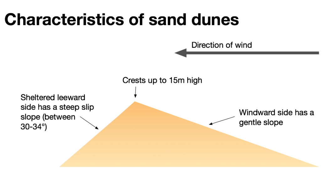 Characteristics of sand dunes