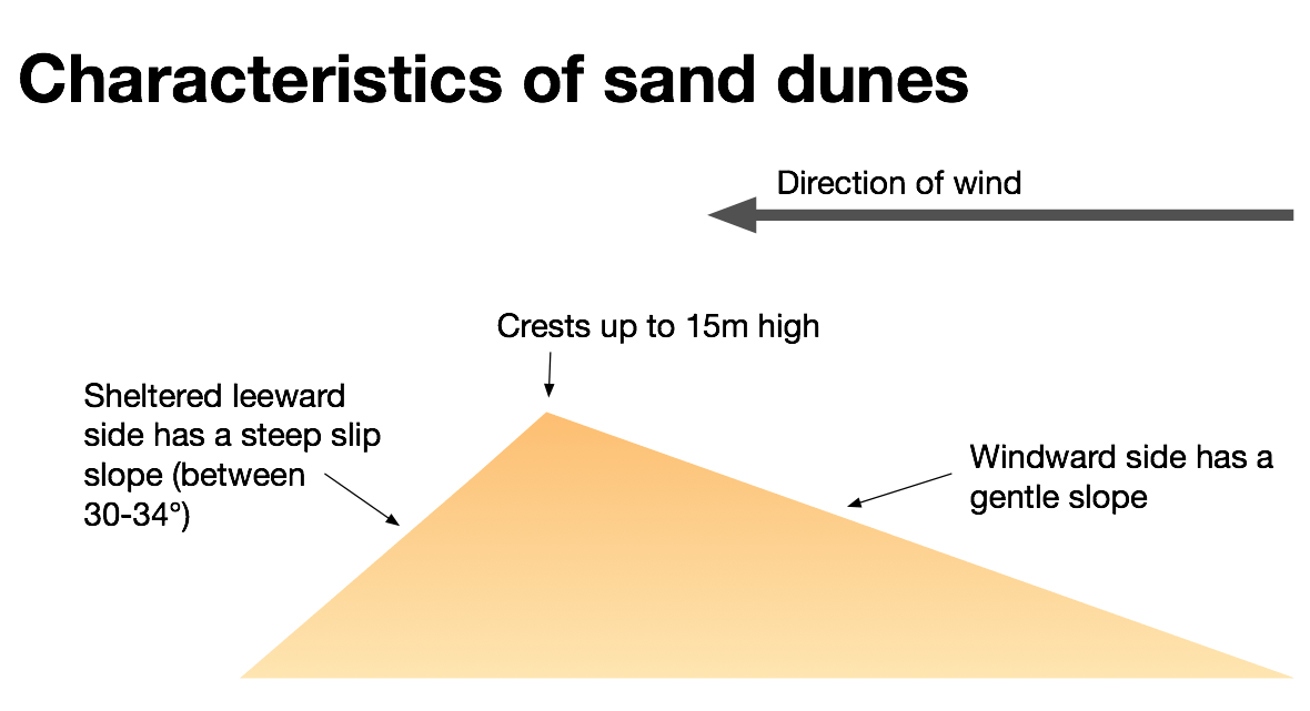 Transverse Dune Diagram