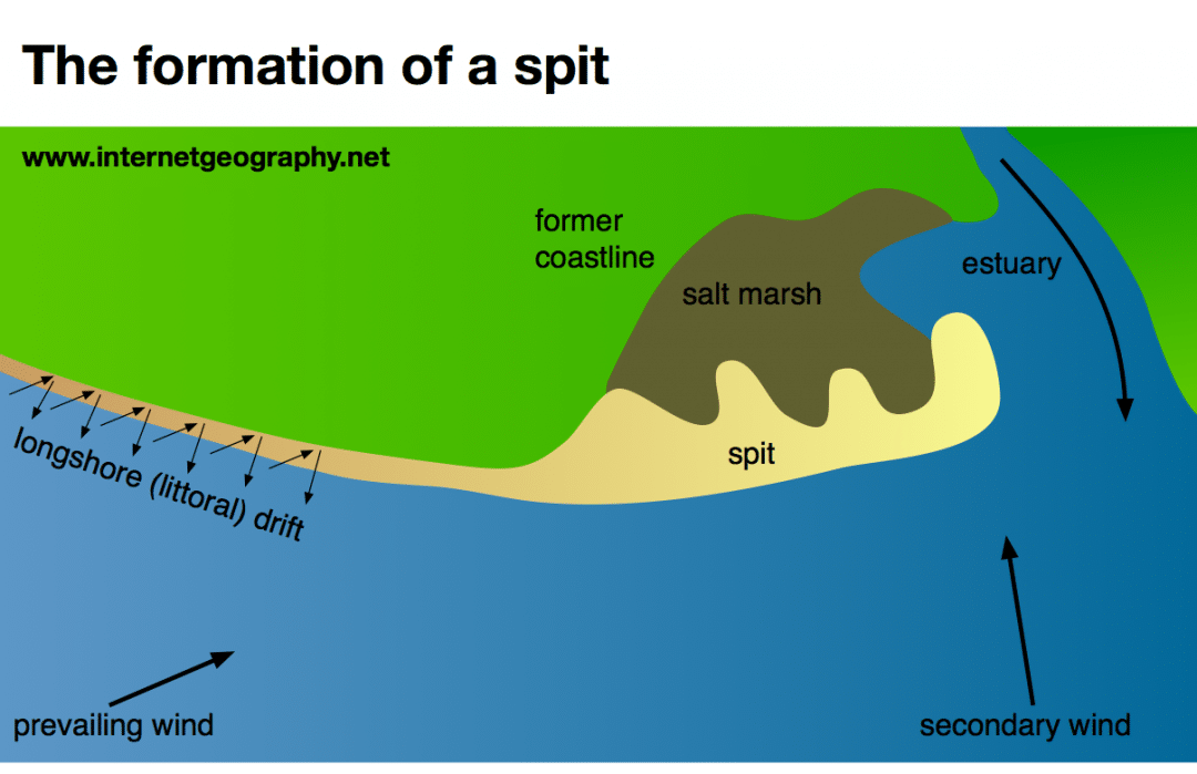 Landforms of coastal deposition Geography