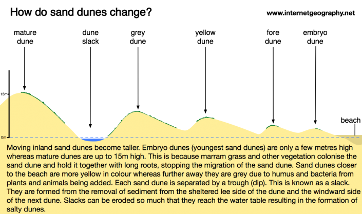 How do sand dunes change with distance from the beach?