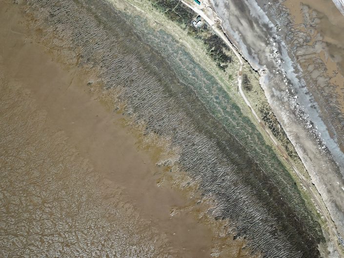 A view across the spit featuring a range of habitats including sand dunes and salt marsh