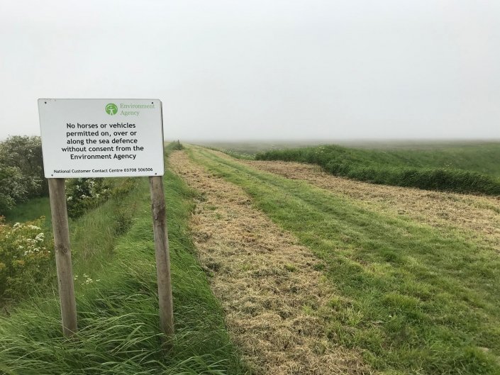 Embankment at Donna Nook