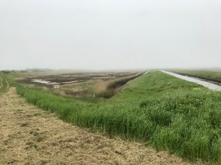 Embankment at Donna Nook