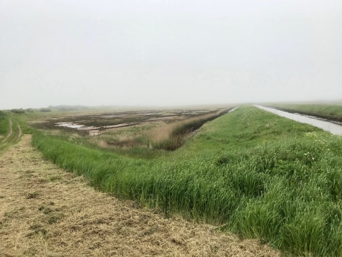 Embankment at Donna Nook