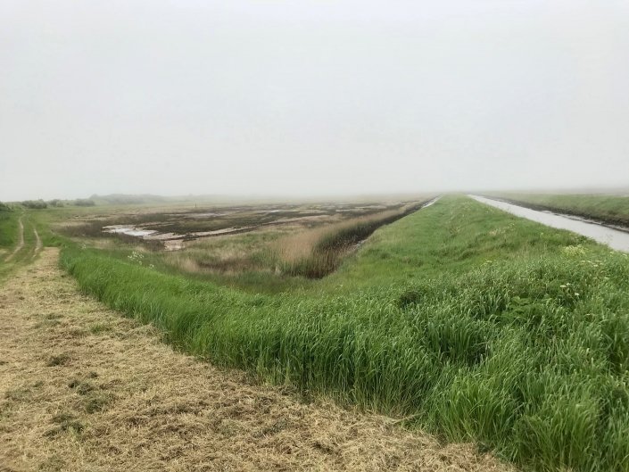 Embankment at Donna Nook