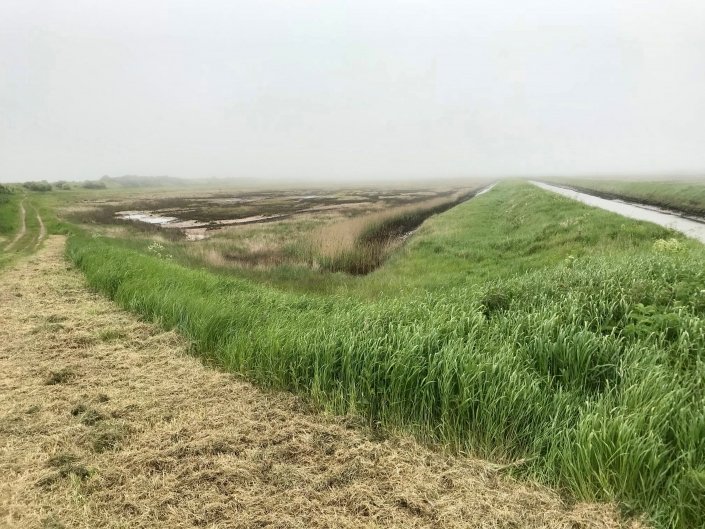 Embankment at Donna Nook