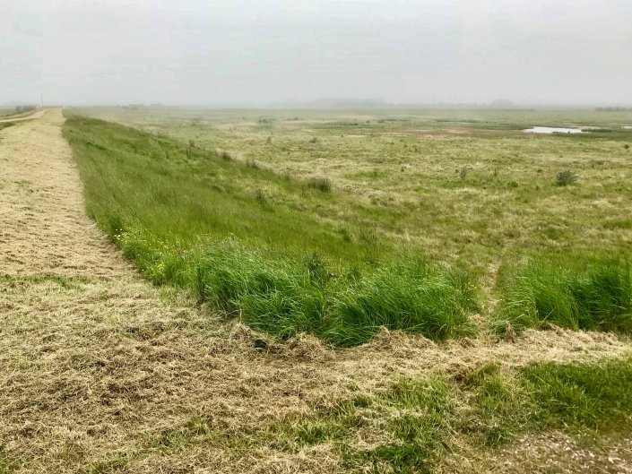 Embankment at Donna Nook