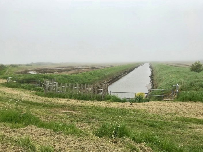 Embankment at Donna Nook