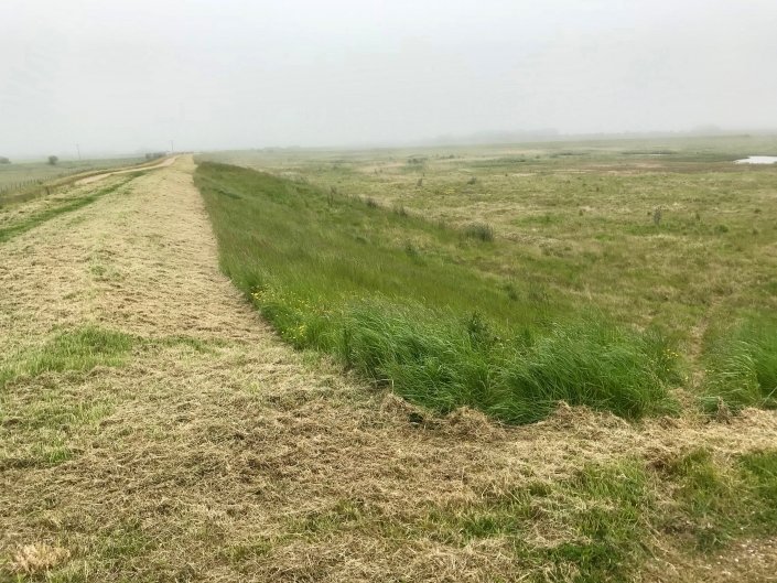 Embankment at Donna Nook