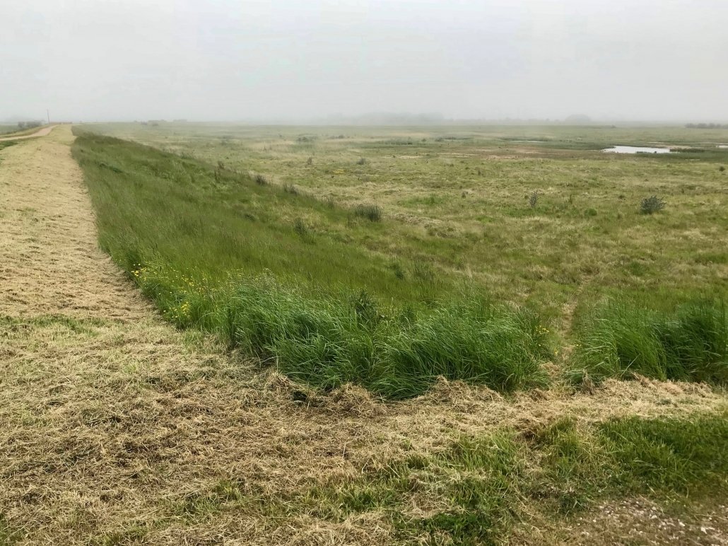 Flood zone and embankments