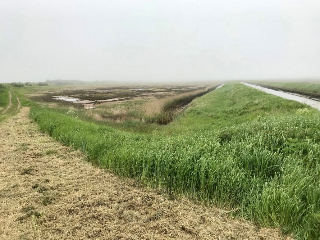 Intertidal zone and embankment