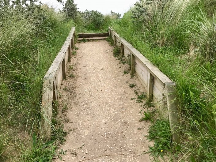 Sand dune management at Donna Nook