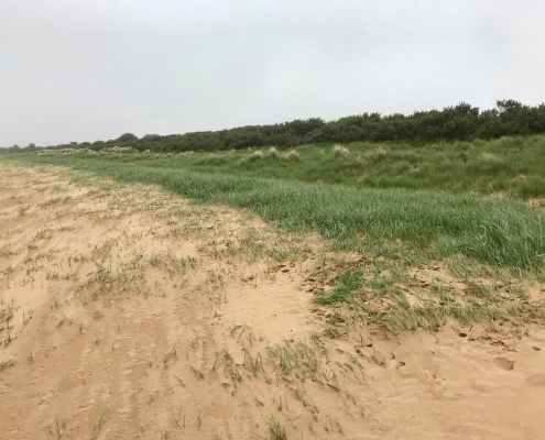 Sand dunes at Donna Nook