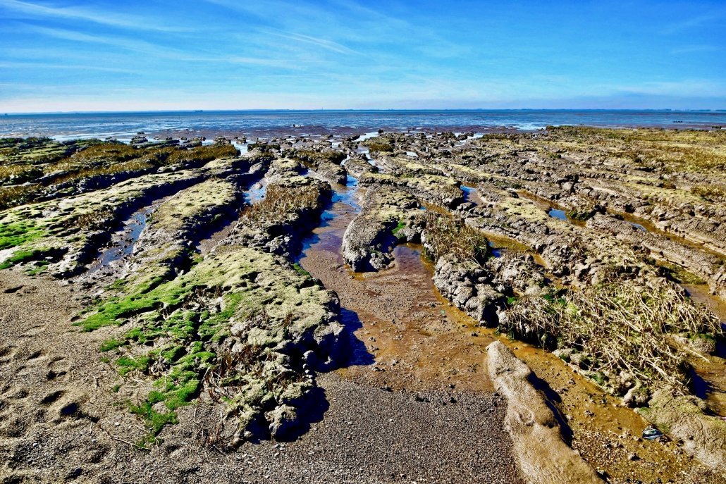 Salt marsh at Spurn Point