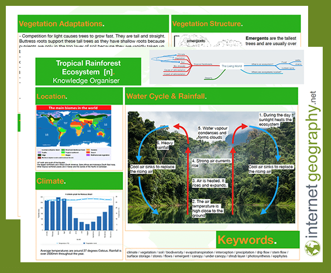 tropical rainforest knowledge organiser