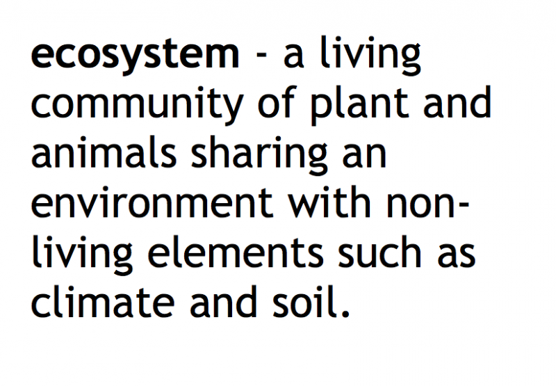 Ecosystems The Living World AQA Geography Lesson 1 - Introduction to ...