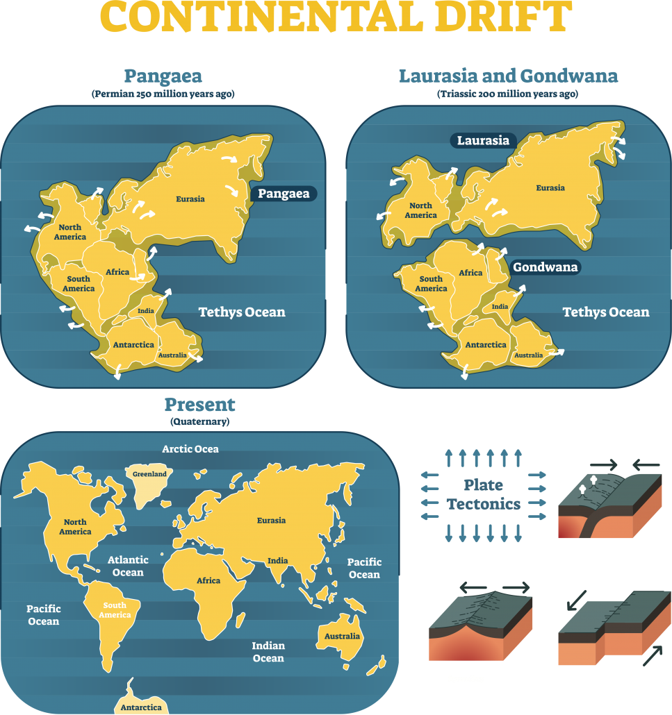 Continental Drift Theory By Alfred Wegener