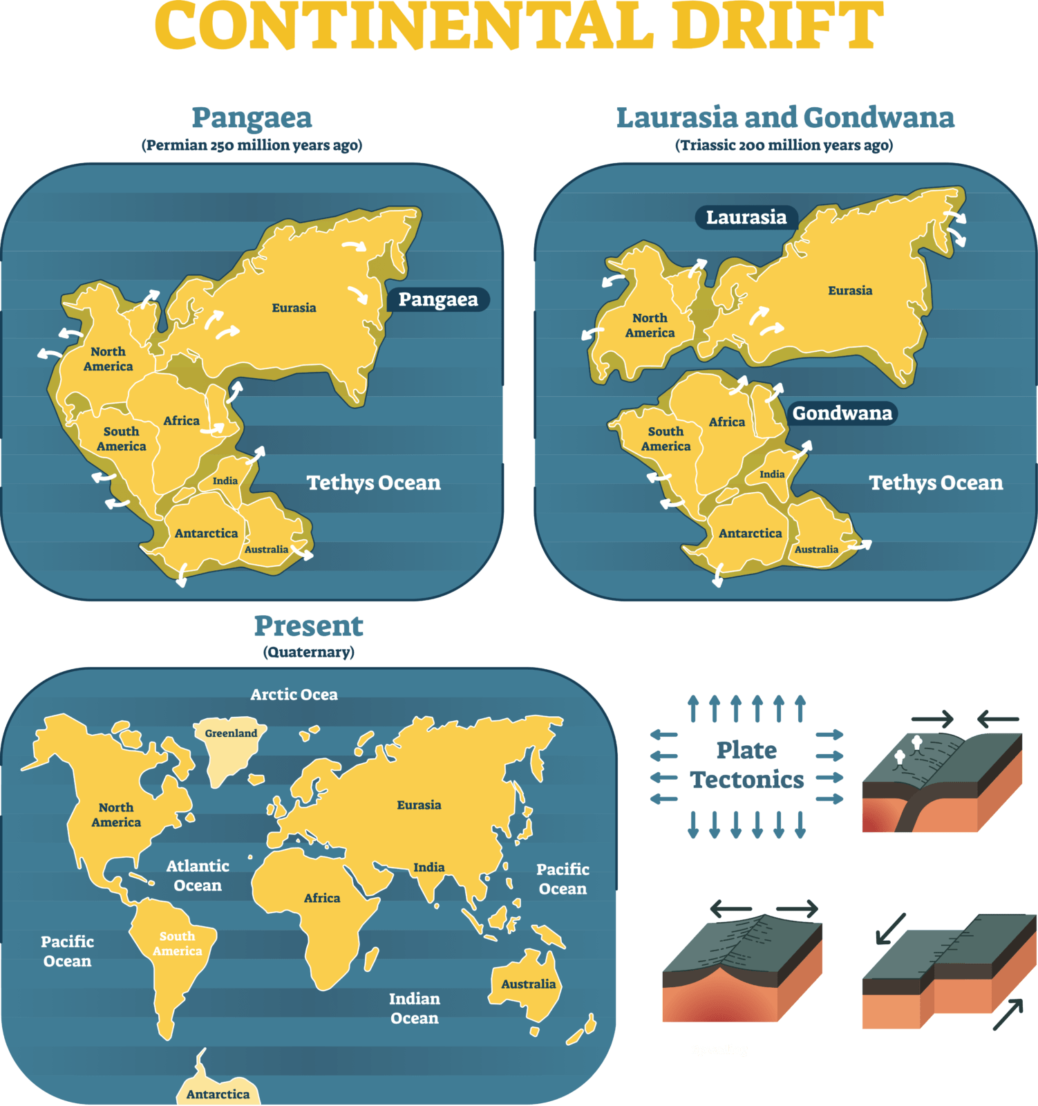 effects of continental drift