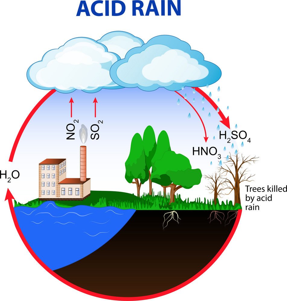 Acid Rain Diagram