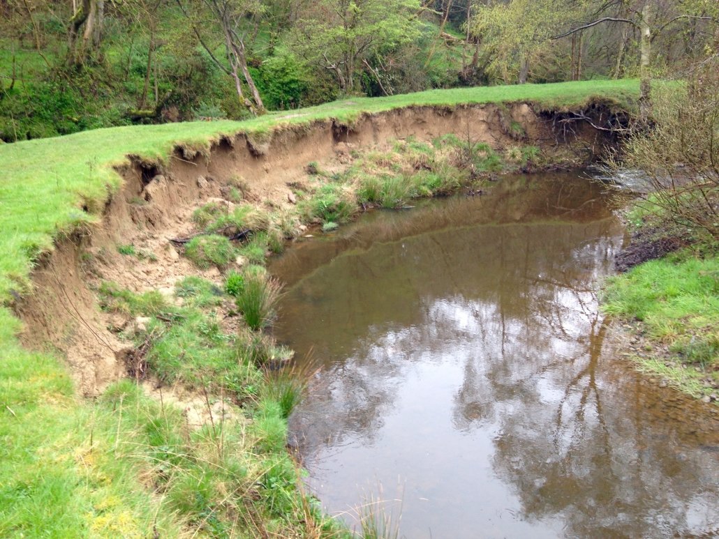 A meander in the middle course of the river