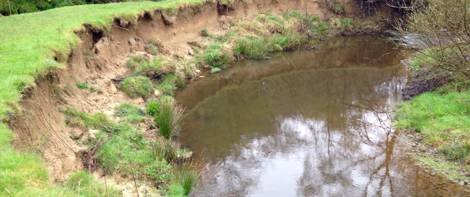 A meander in the middle course of the river